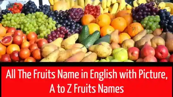 All the Fruits Name in English with picture