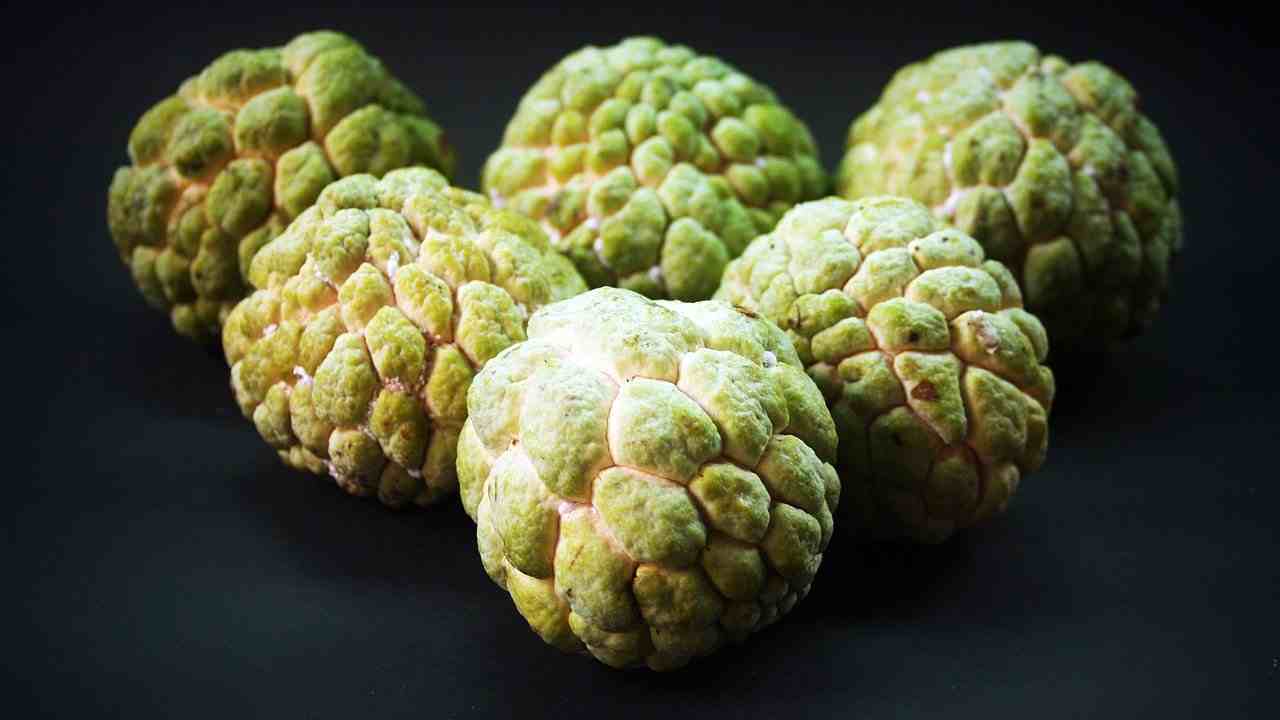 Custard Apple