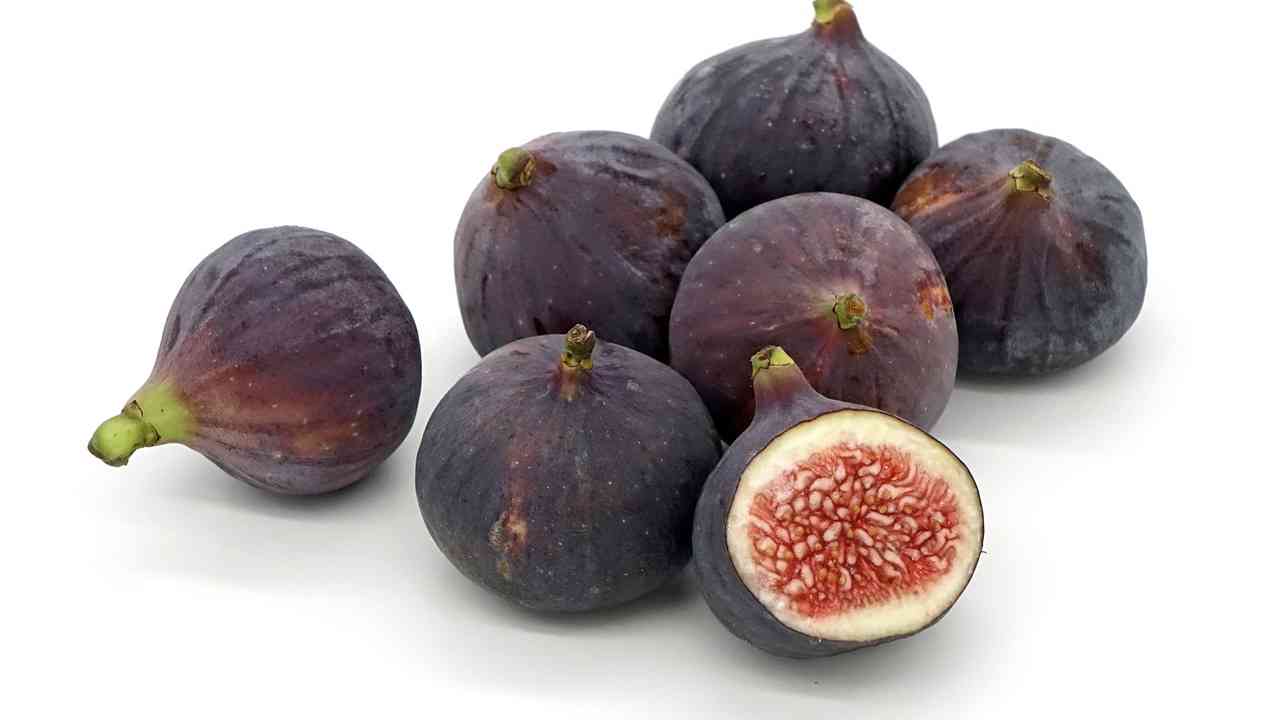 Fig