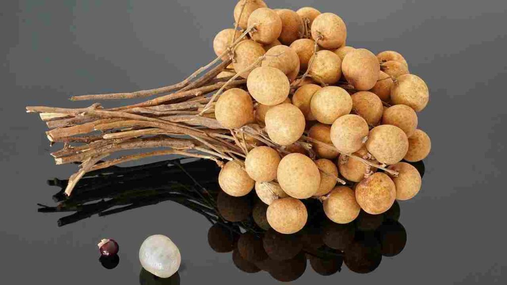 Fruits Name in English Longan