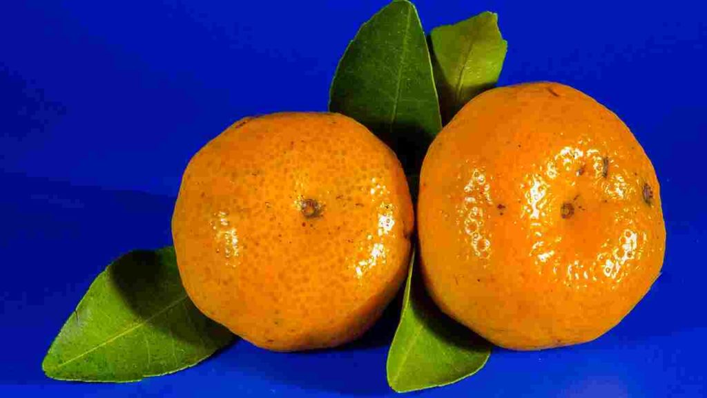 Mandarin Orange