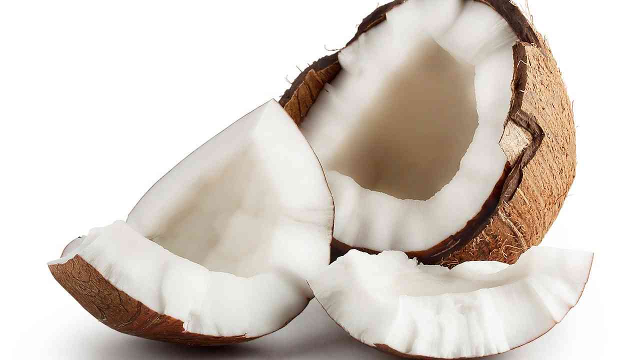 Coconut