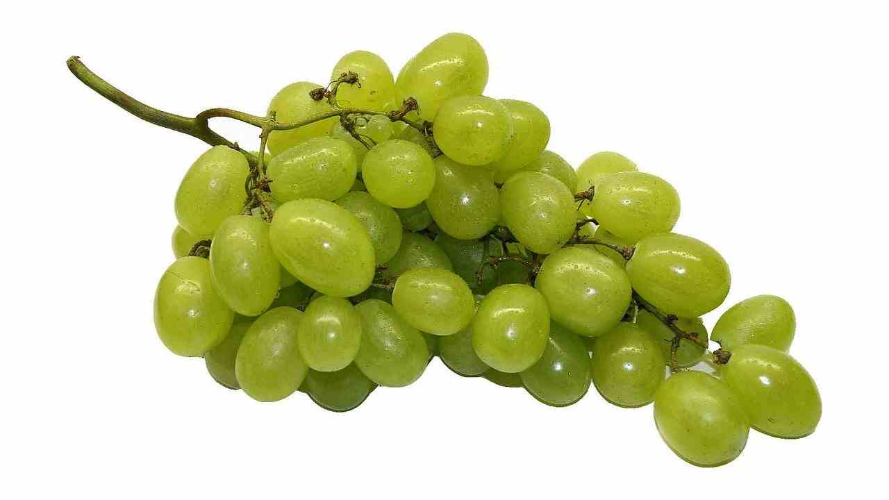 Grapes