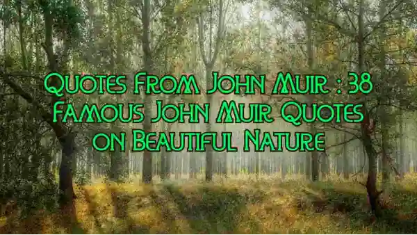 John Muir Quotes