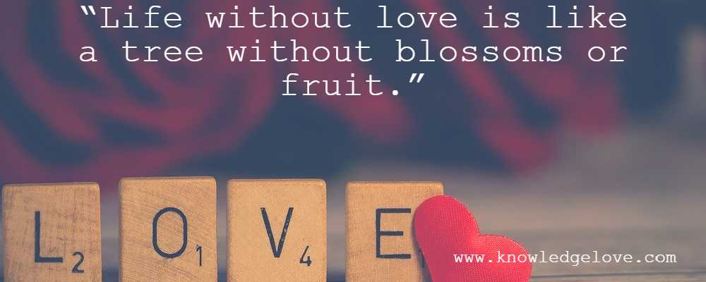 Feelings love Quotes