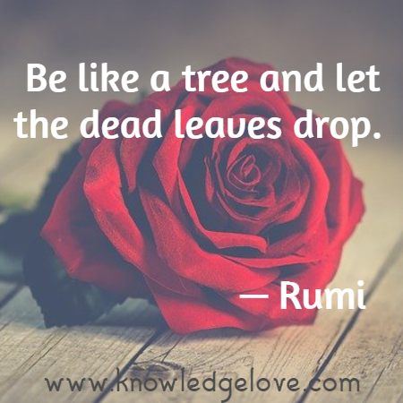 Be like a tree and let the dead leaves drop.