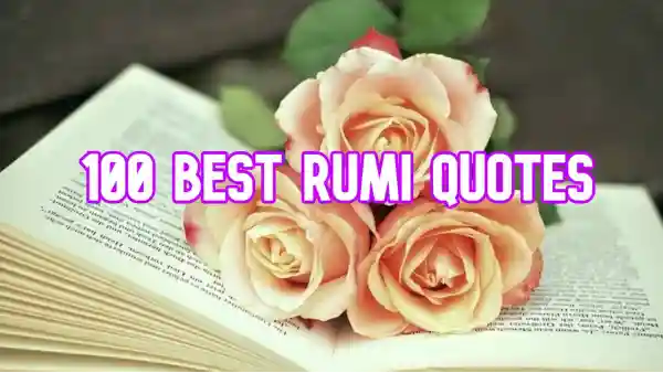 Best Rumi Quotes