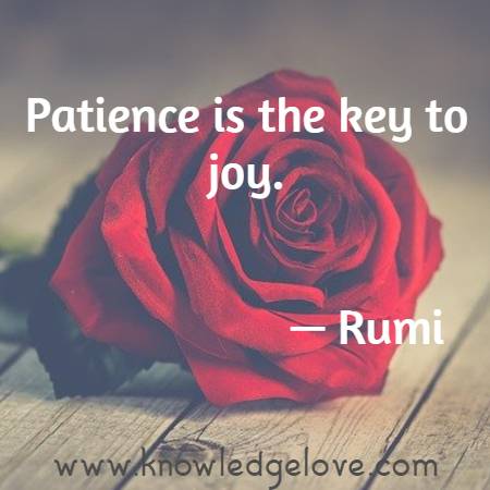 Patience is the key to joy.