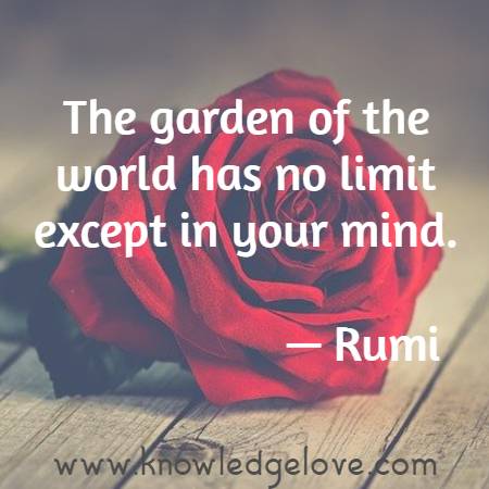 The garden of the world has no limit except in your mind.