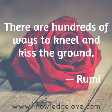 There are hundreds of ways to kneel and kiss the ground.