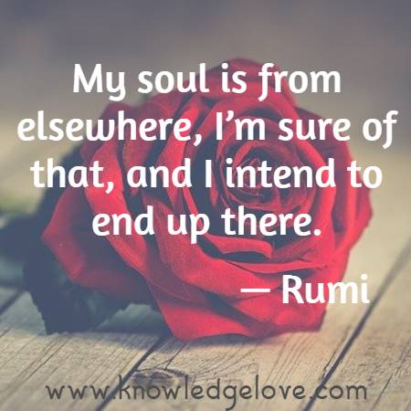 rumi quotes on soul