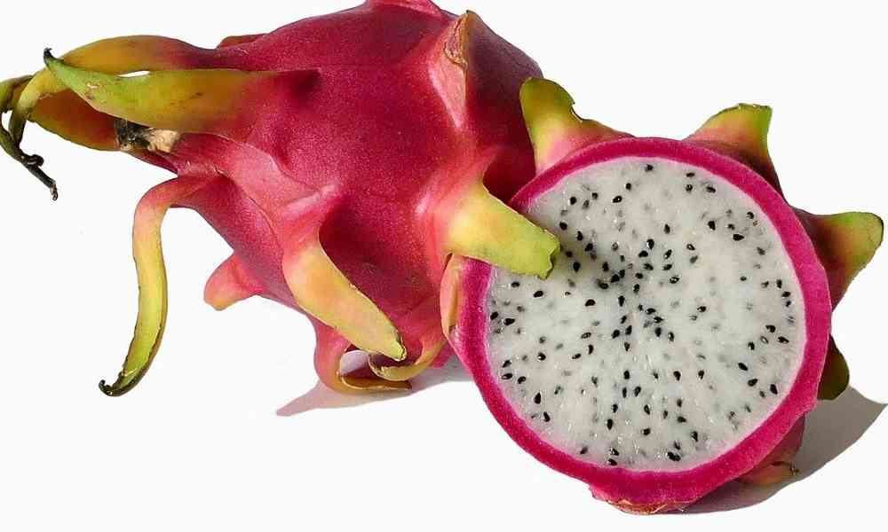 fruits name in hindi - ड्रैगन फ्रूट / पिताया ( Dragon Fruit / Pitaya ) - Dragon Fruit ( ड्रैगन फ्रूट )