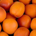 fruits apricots