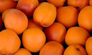 fruits apricots