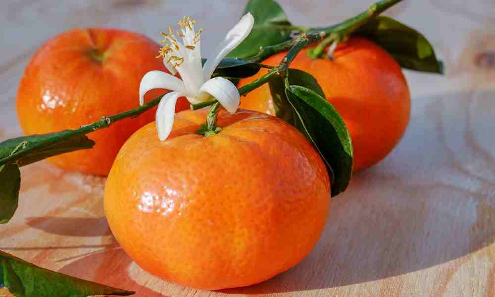 Fruits Name in Hindi - कीनू ( Keenoo ) - Tangerine ( तन्गेरिन )