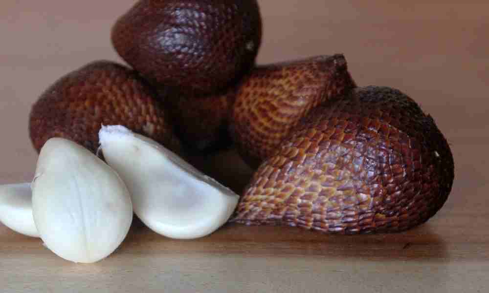 सलक ( Salak ) - Salak, Snake Fruit