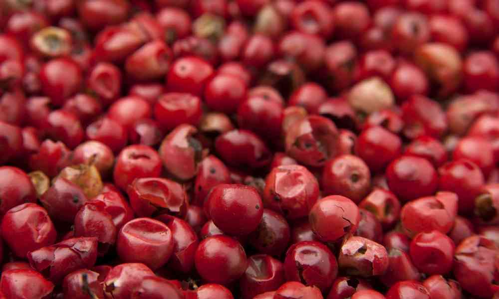 गोजी बेरी ( Goji Berry )