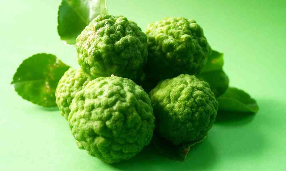 fruits name इन hindi - काफ़िर लाइम ( Kaffir Lime )