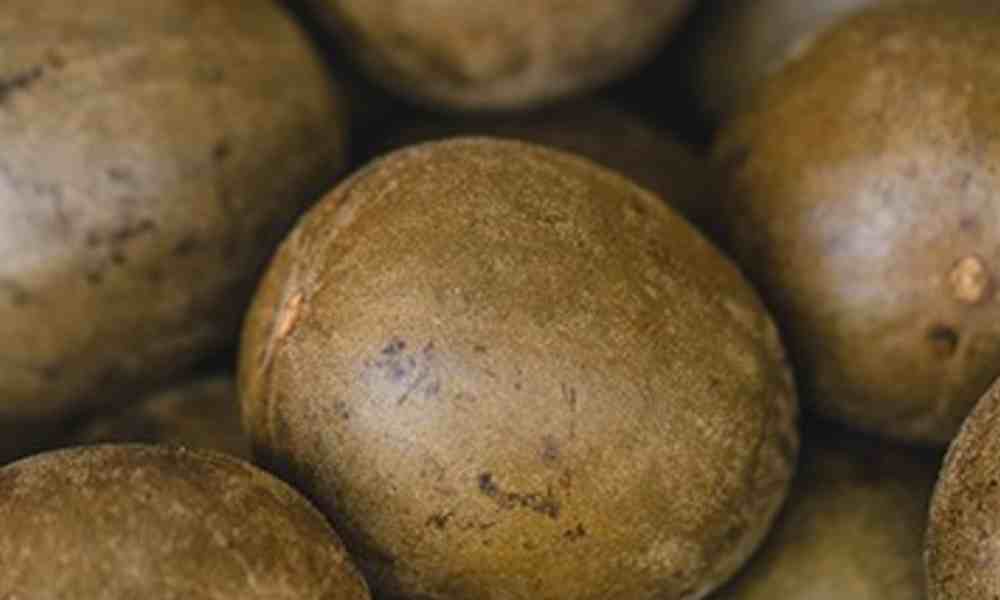 मोंक फ्रूट ( Monk Fruit )