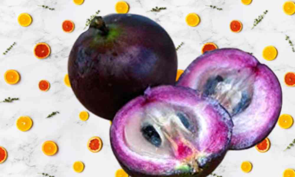 सितारा सेब - Star Apple ( स्टार एप्पल )