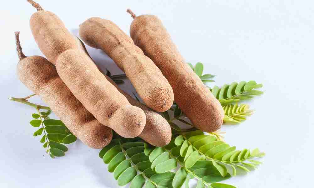 इमली ( Imli ) - Tamarind