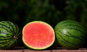 Watermelon, Tarbooj