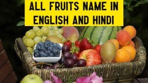 all fruits name is hindi and english with picture