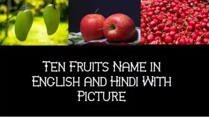 ten fruits name in english and hindi with picture