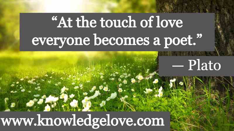 At the touch of love everyone becomes a poet