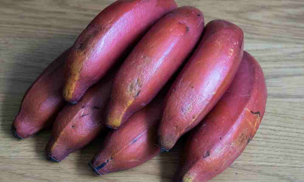 लाल केला (Lal Kela) - Red Banana