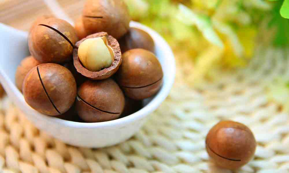 मकाडेमिया नट्स - Macadamia Nuts - अखरोट का एक प्रकार