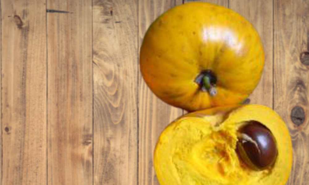 Fruits Name in Hindi - Egg Fruits