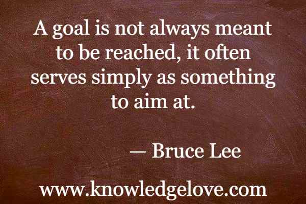 A goal is not always meant to be reached, it often serves simply as something to aim at.