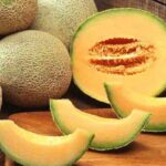 Cantaloupe Meaning in Hindi