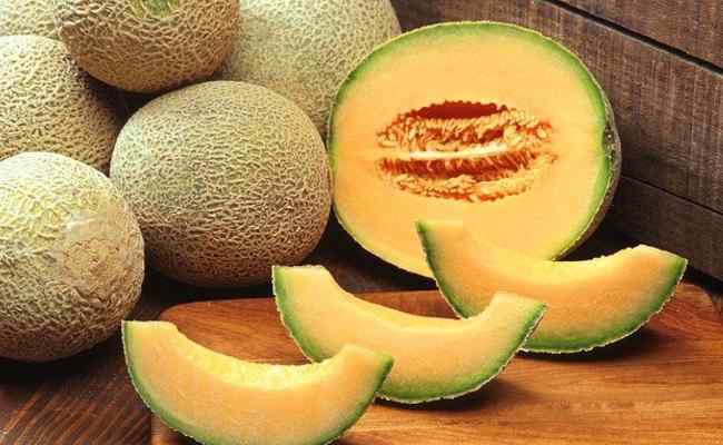 Cantaloupe Meaning in Hindi