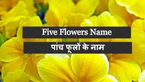 Five Flowers Name