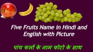 Five Fruits Name