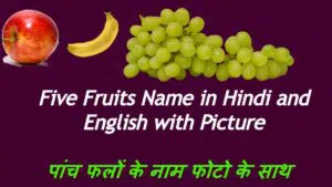 Five Fruits Name
