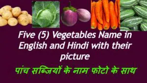 Five (5) Vegetables Name in English and Hindi with their picture