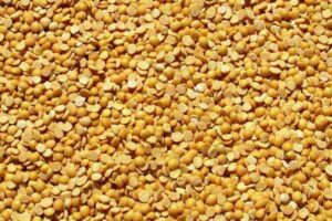 Pigeon Pea Meaning in Hindi