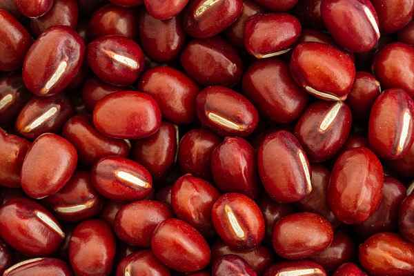 Adzuki beans meaning in Hindi