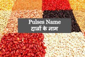 Pulses Name Dalon Ke nam