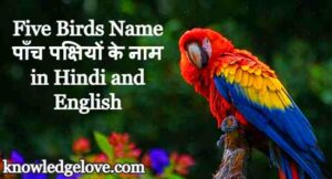 Five Birds Name in Hindi and English with Picture